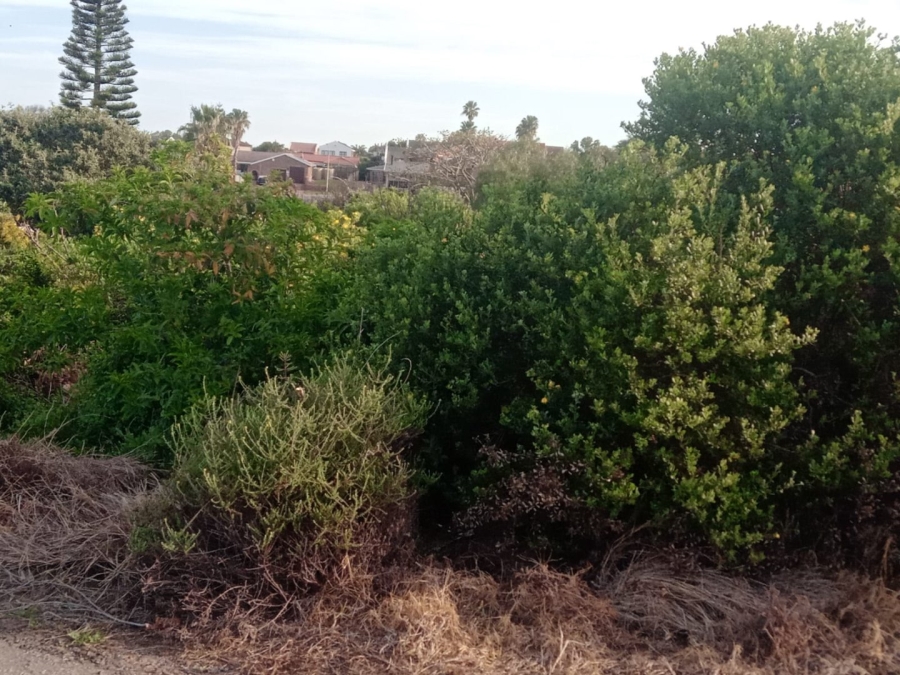 Commercial Property for Sale in Paradise Beach Eastern Cape